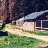 "Garden Workshop" and greenhouse were located along an existing drive, and sited to form a work court with existing shop.